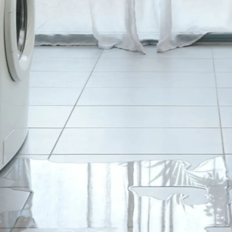 Appliance Leak Cleanup in Naperville, IL