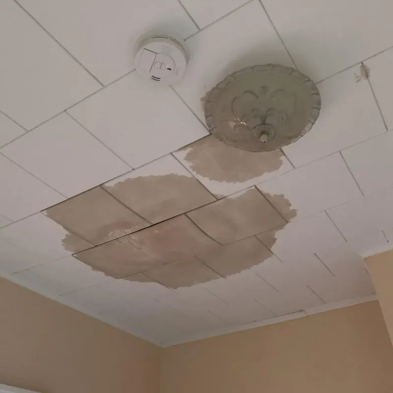 Ceiling Water Damage Repair in Naperville, IL