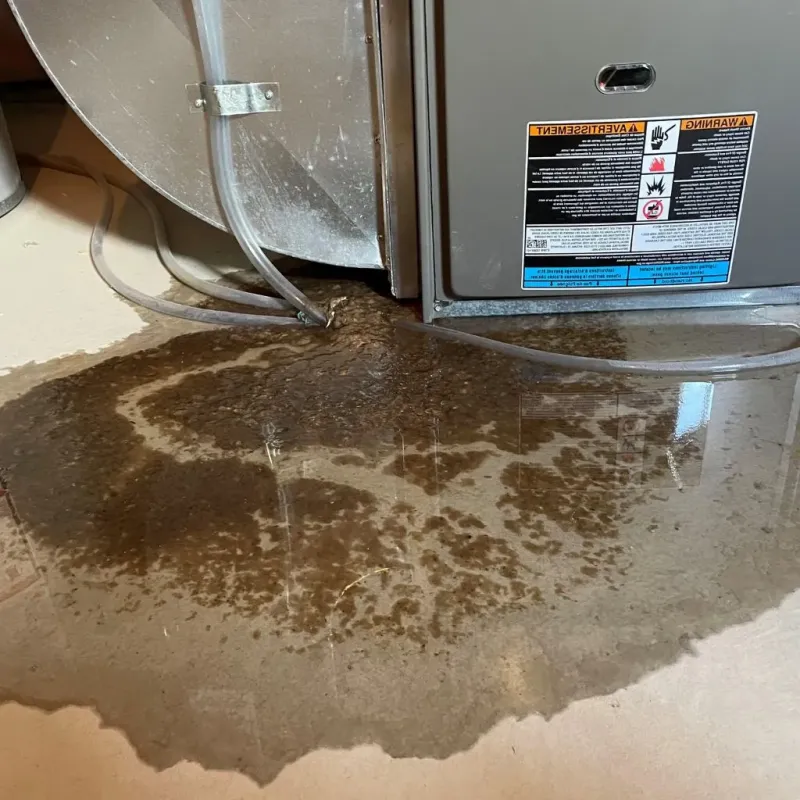 Pipe Burst and Leak Restoration in Naperville, IL