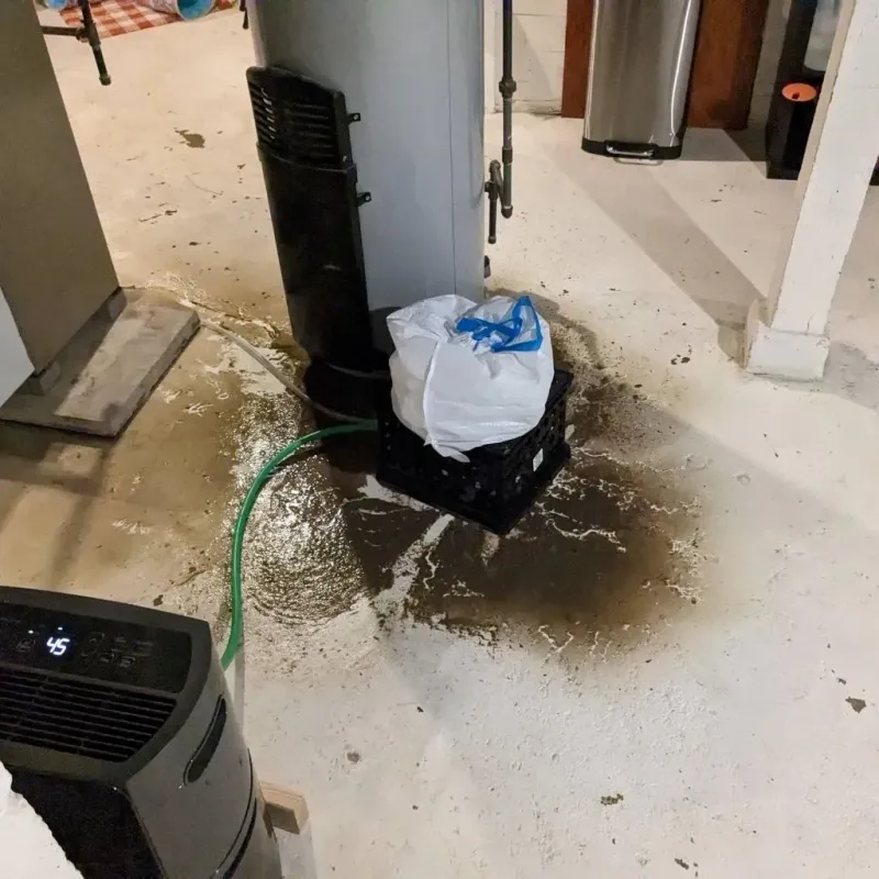 Sewage Backup Cleanup Service in Naperville, IL